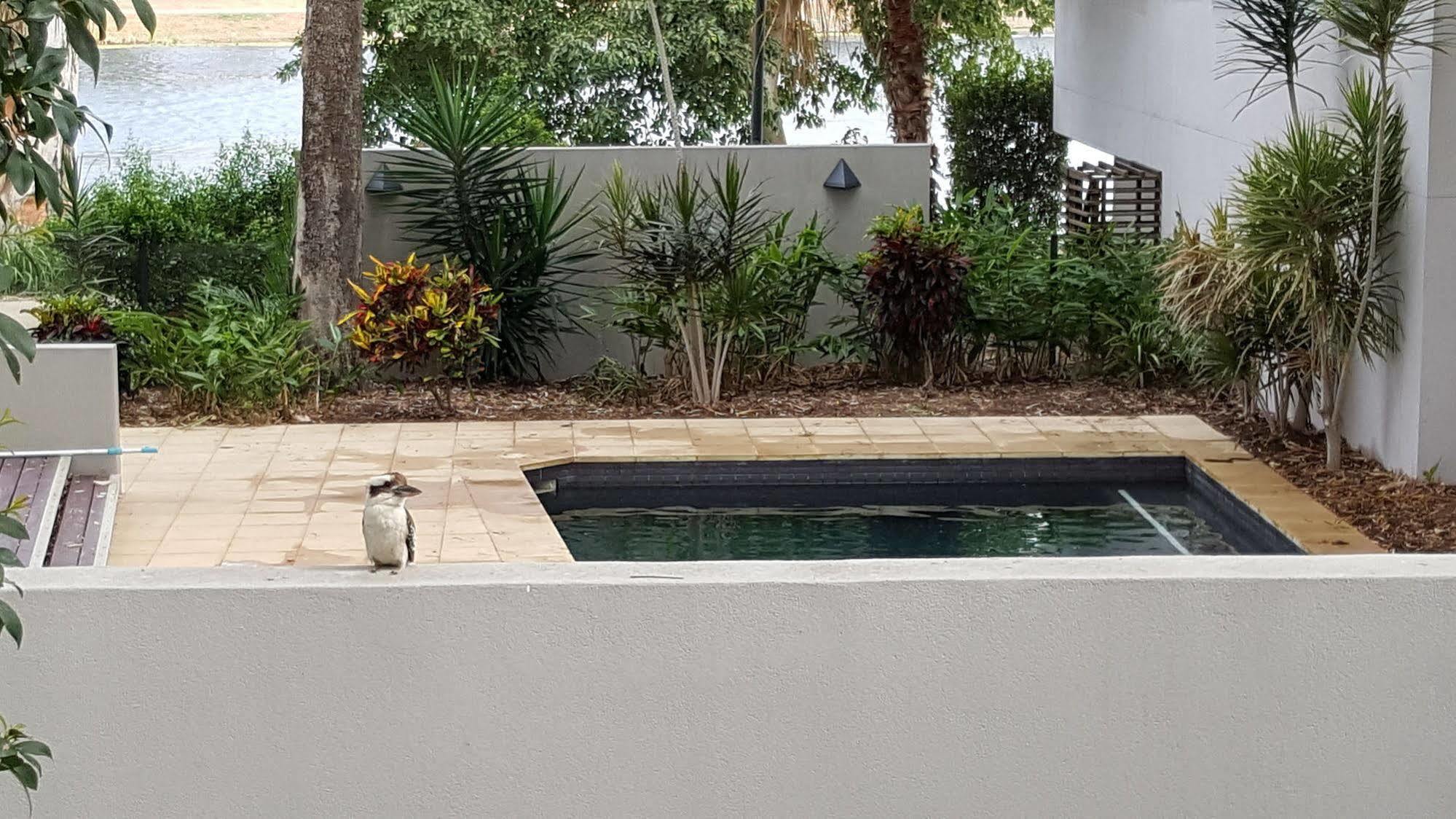 Jacana Apartments Townsville Exterior photo
